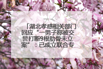 湖北孝感相关部门回应“一男子称被交警打断9根肋骨未立案”：已成立联合专班开展工作