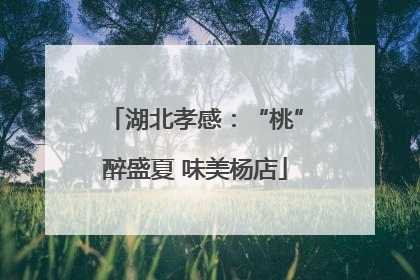湖北孝感：“桃”醉盛夏 味美杨店