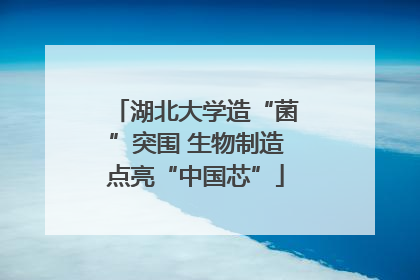 湖北大学造“菌”突围 生物制造点亮“中国芯”