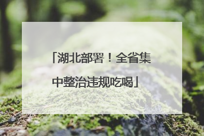 湖北部署！全省集中整治违规吃喝
