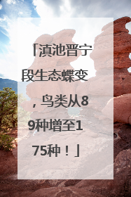 滇池晋宁段生态蝶变，鸟类从89种增至175种！