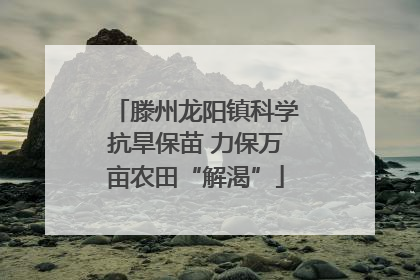滕州龙阳镇科学抗旱保苗 力保万亩农田“解渴”