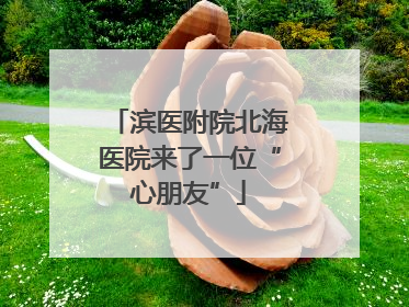 滨医附院北海医院来了一位“心朋友”