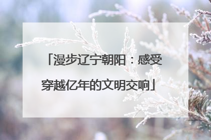 漫步辽宁朝阳：感受穿越亿年的文明交响