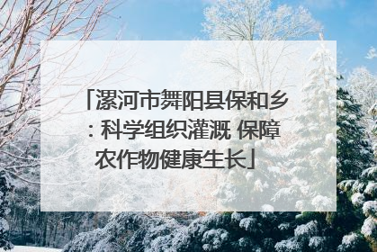 漯河市舞阳县保和乡：科学组织灌溉 保障农作物健康生长