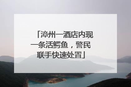 漳州一酒店内现一条活鳄鱼，警民联手快速处置