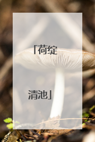 荷绽清池