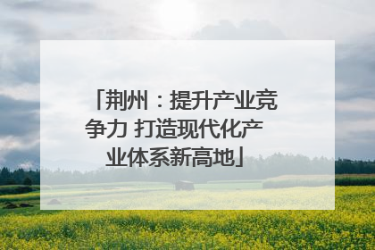 荆州：提升产业竞争力 打造现代化产业体系新高地