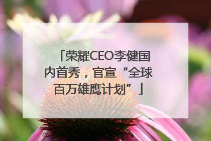 荣耀CEO李健国内首秀，官宣“全球百万雄鹰计划”