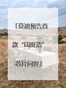 莫迪预告首款“印度造”芯片问世