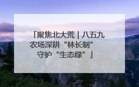 聚焦北大荒｜八五九农场深耕“林长制” 守护“生态绿”