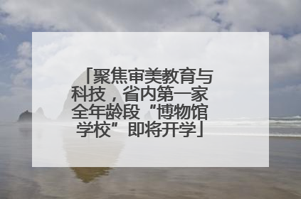 聚焦审美教育与科技，省内第一家全年龄段“博物馆学校”即将开学