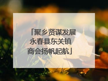 聚乡贤谋发展 永春县东关镇商会扬帆起航