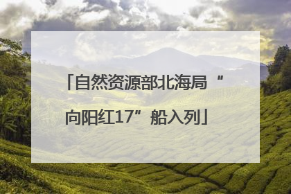 自然资源部北海局“向阳红17”船入列