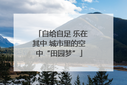 自给自足 乐在其中 城市里的空中“田园梦”