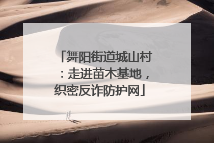 舞阳街道城山村：走进苗木基地，织密反诈防护网