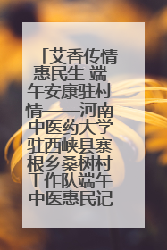 艾香传情惠民生 端午安康驻村情——河南中医药大学驻西峡县寨根乡桑树村工作队端午中医惠民记