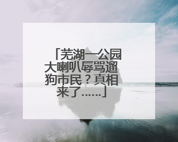 芜湖一公园大喇叭辱骂遛狗市民？真相来了……