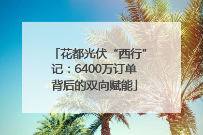 花都光伏“西行”记：6400万订单背后的双向赋能