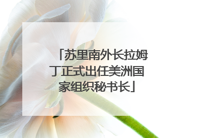 苏里南外长拉姆丁正式出任美洲国家组织秘书长