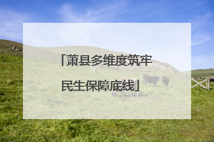 萧县多维度筑牢民生保障底线