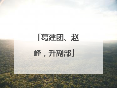 葛建团、赵峰，升副部