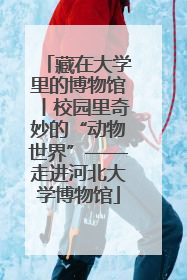 藏在大学里的博物馆丨校园里奇妙的“动物世界”——走进河北大学博物馆
