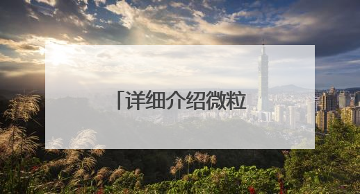 详细介绍微粒贷借钱的开通方式与官方入口