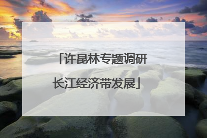 许昆林专题调研长江经济带发展