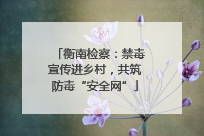 衡南检察：禁毒宣传进乡村，共筑防毒“安全网”