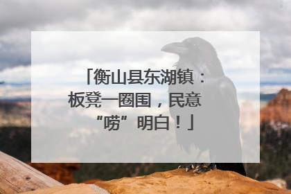 衡山县东湖镇：板凳一圈围，民意“唠”明白！