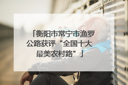 衡阳市常宁市渔罗公路获评“全国十大最美农村路”