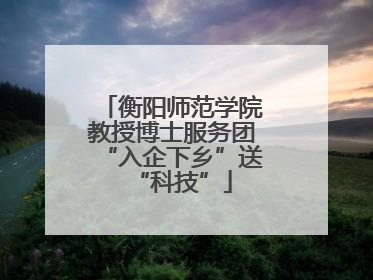 衡阳师范学院教授博士服务团“入企下乡”送“科技”
