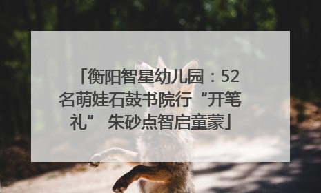 衡阳智星幼儿园：52名萌娃石鼓书院行“开笔礼” 朱砂点智启童蒙
