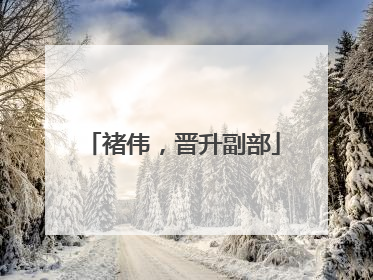 褚伟，晋升副部