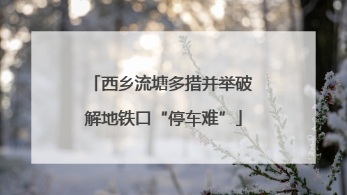 西乡流塘多措并举破解地铁口“停车难”