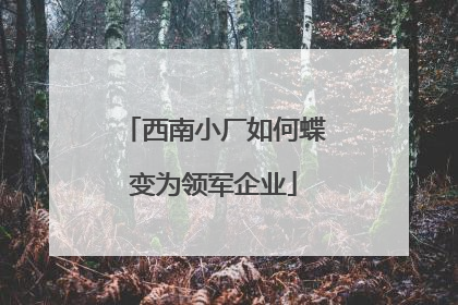 西南小厂如何蝶变为领军企业