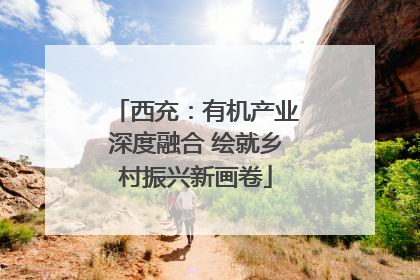 西充：有机产业深度融合 绘就乡村振兴新画卷