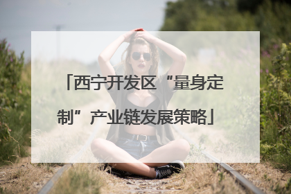 西宁开发区“量身定制”产业链发展策略