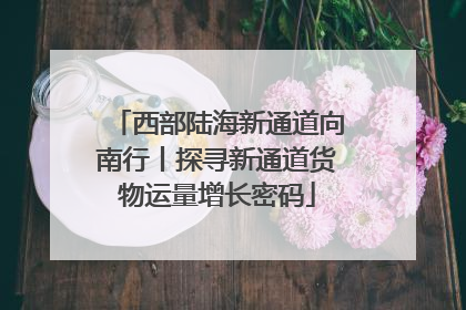 西部陆海新通道向南行丨探寻新通道货物运量增长密码