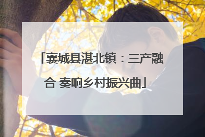 襄城县湛北镇：三产融合 奏响乡村振兴曲