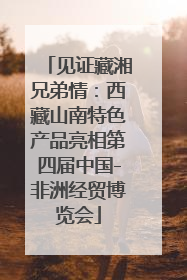 见证藏湘兄弟情：西藏山南特色产品亮相第四届中国-非洲经贸博览会