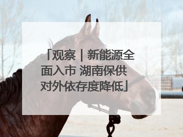 观察｜新能源全面入市 湖南保供对外依存度降低