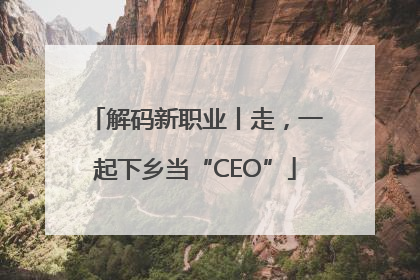 解码新职业丨走，一起下乡当“CEO”