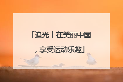 追光丨在美丽中国，享受运动乐趣