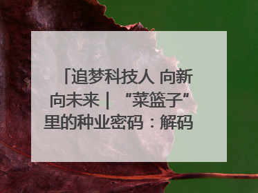 追梦科技人 向新向未来｜“菜篮子”里的种业密码：解码南京蔬菜分子育种的创新之路