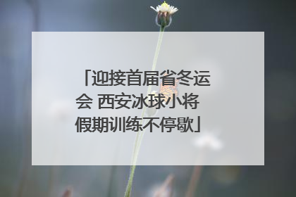 迎接首届省冬运会 西安冰球小将假期训练不停歇