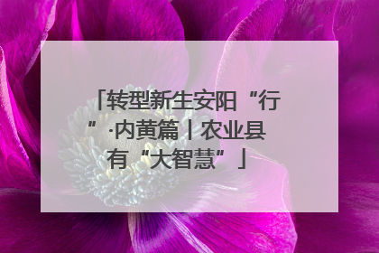 转型新生安阳“行”·内黄篇丨农业县有“大智慧”