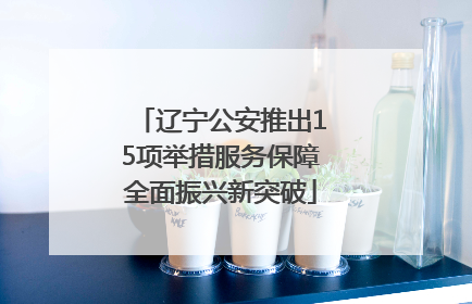 辽宁公安推出15项举措服务保障全面振兴新突破