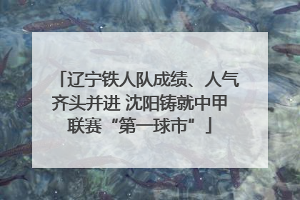 辽宁铁人队成绩、人气齐头并进 沈阳铸就中甲联赛“第一球市”
